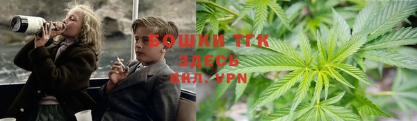 молекула духа Алексин